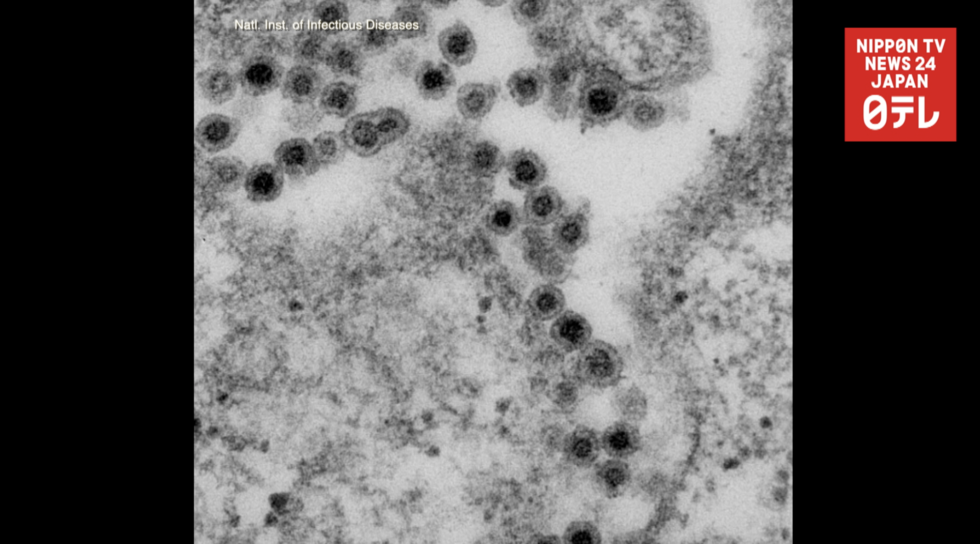 Rubella cases at 5-year high