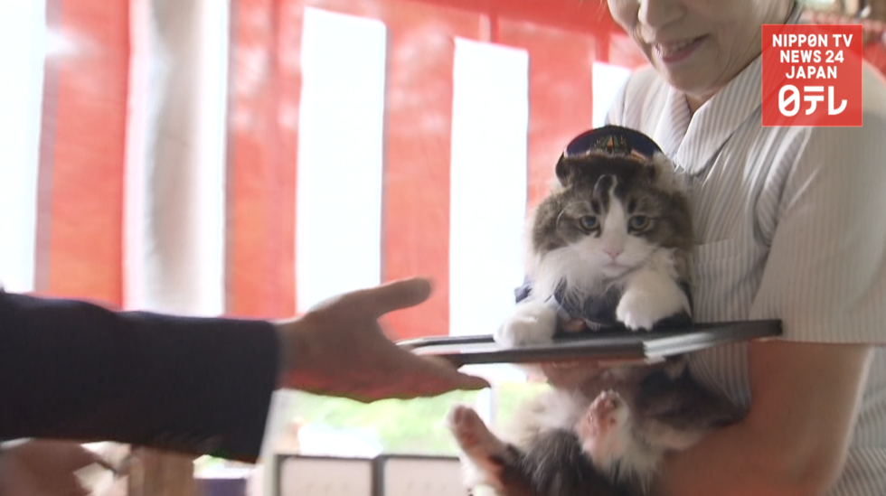 Love takes on new role as Tourism Ambassador  