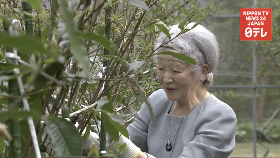 Empress harvests last silk 