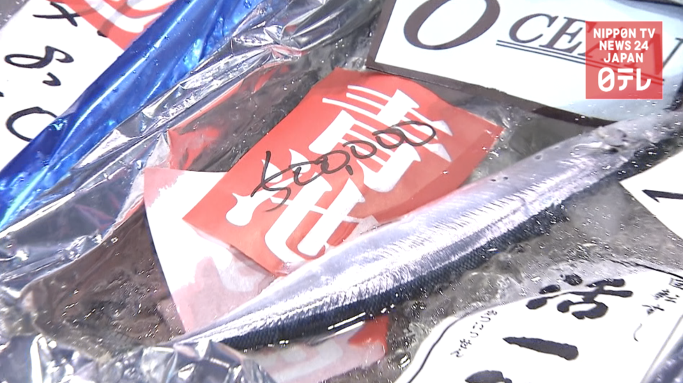 First sanma fetches $4500 per kilo 