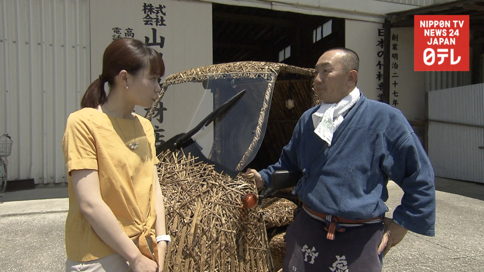 The future of bamboo  