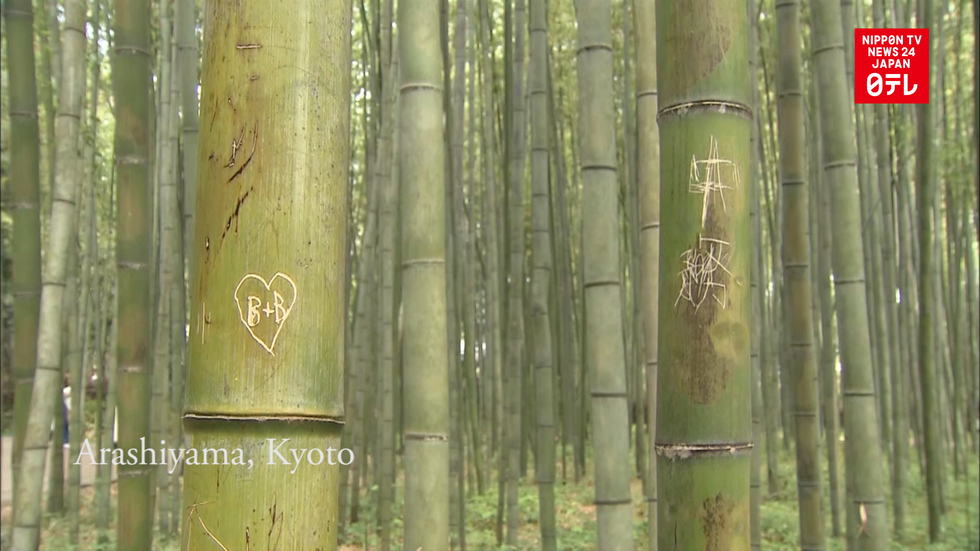 Kyoto's Arashiyama bamboo vandalized