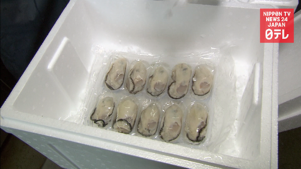 Flash frozen oysters promise flavor good as fresh
