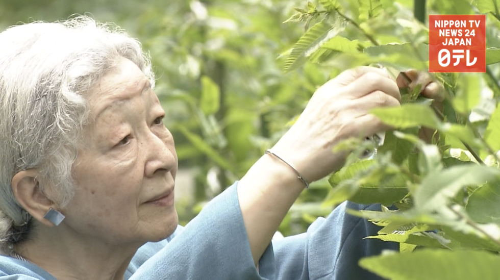 Silk tradition to pass from Michiko to Masako   