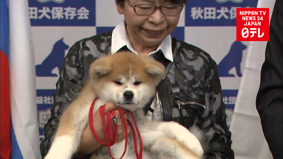 Zagitova's chosen Akita unveiled 