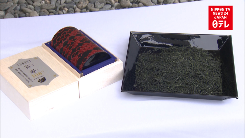 Fancy new green tea dedicated to shrine