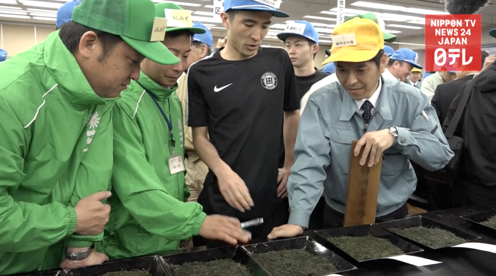 Green tea season gets underway  