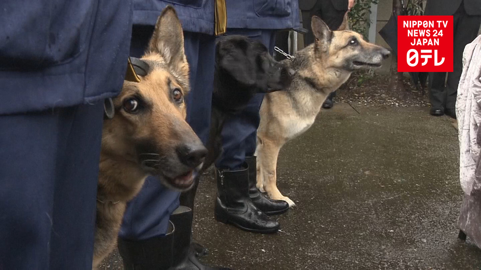 Police canine heroes remembered