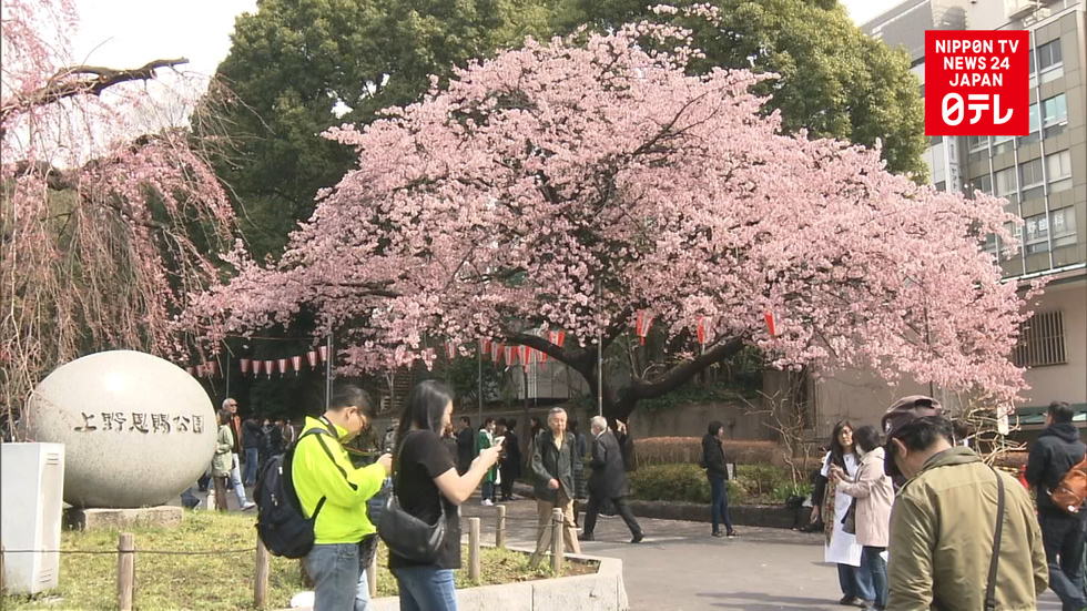 Japan enjoys unseasonably warm temperatures