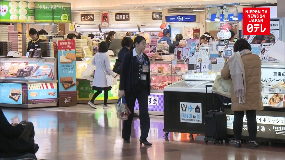Man snatches 4 mil. yen bag at Haneda Airport