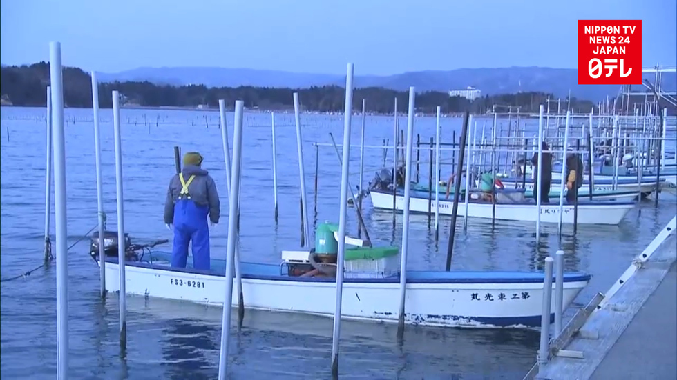 Laver seaweed shipped from Fukushima