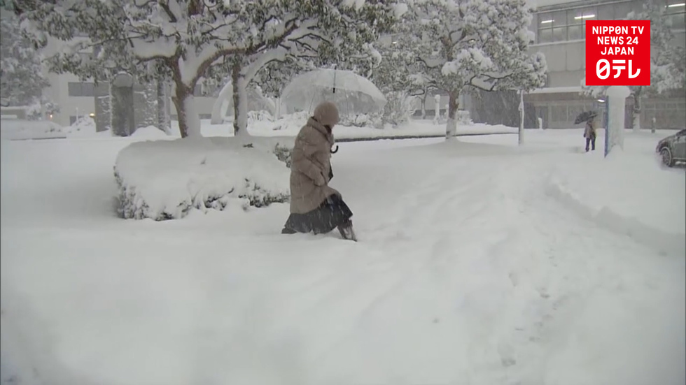 Snow blankets Japan