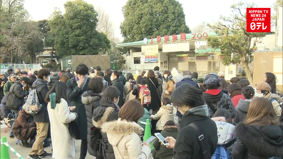 Fans flock to see panda cub Xiang Xiang 