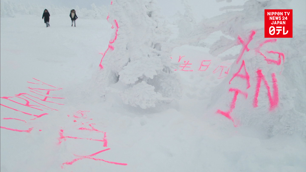 Famous 'snow monsters' sprayed with graffiti 