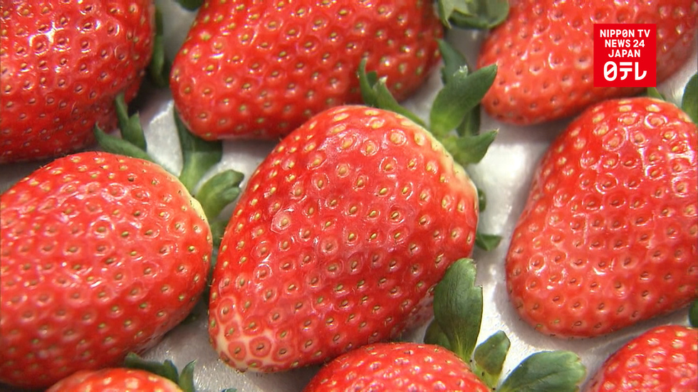 So long...and thanks for all the fruit