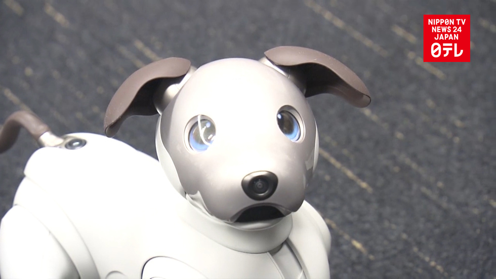 Sony delivers all-new robotic dog Aibo