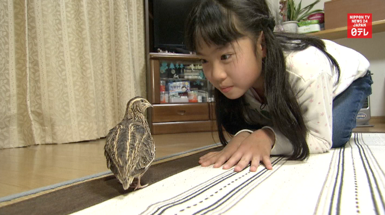 From supermarket egg to beloved pet 