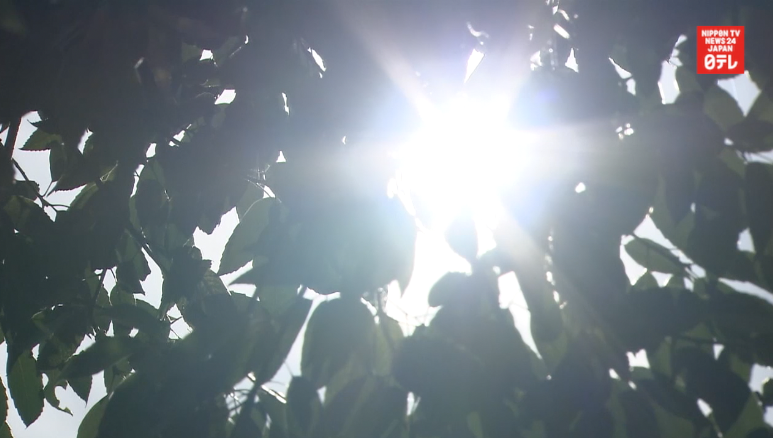 Tokyo broils in record heat wave