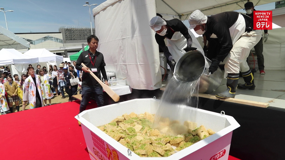 Oodles of noodles land new world record
