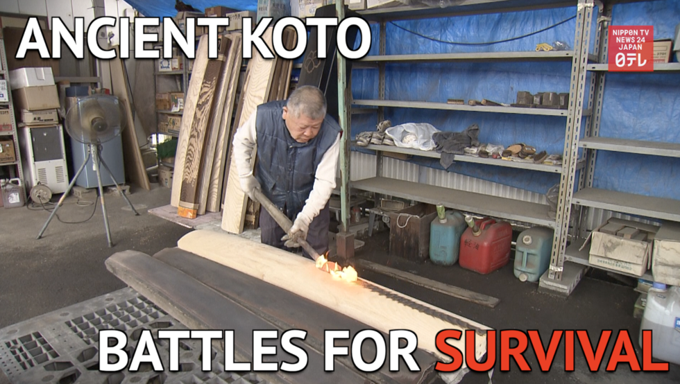  Koto heartland fights the odds