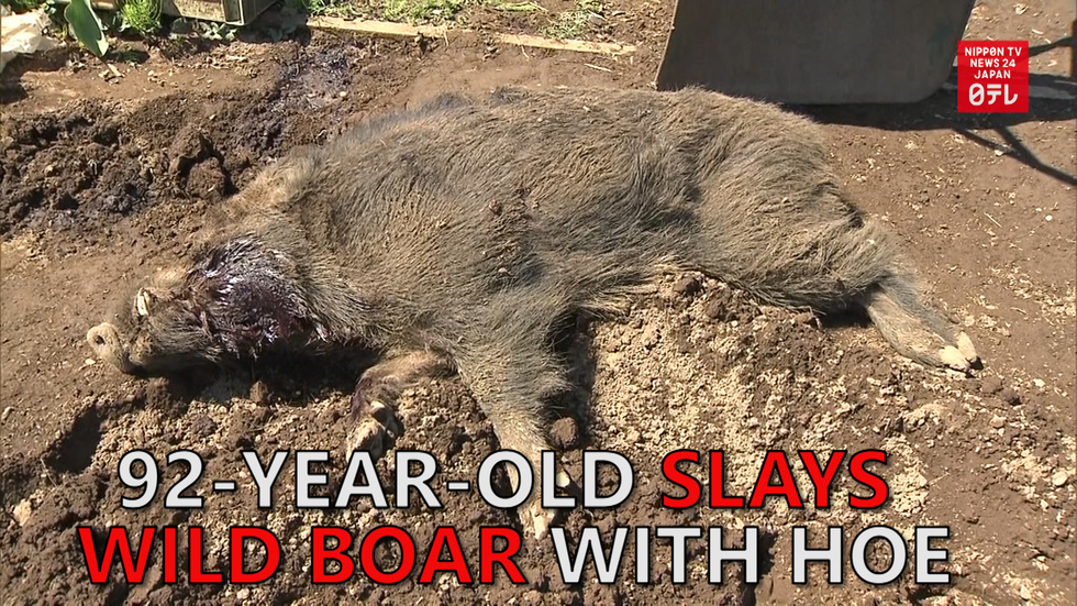 92-year-old slays boar with hoe
