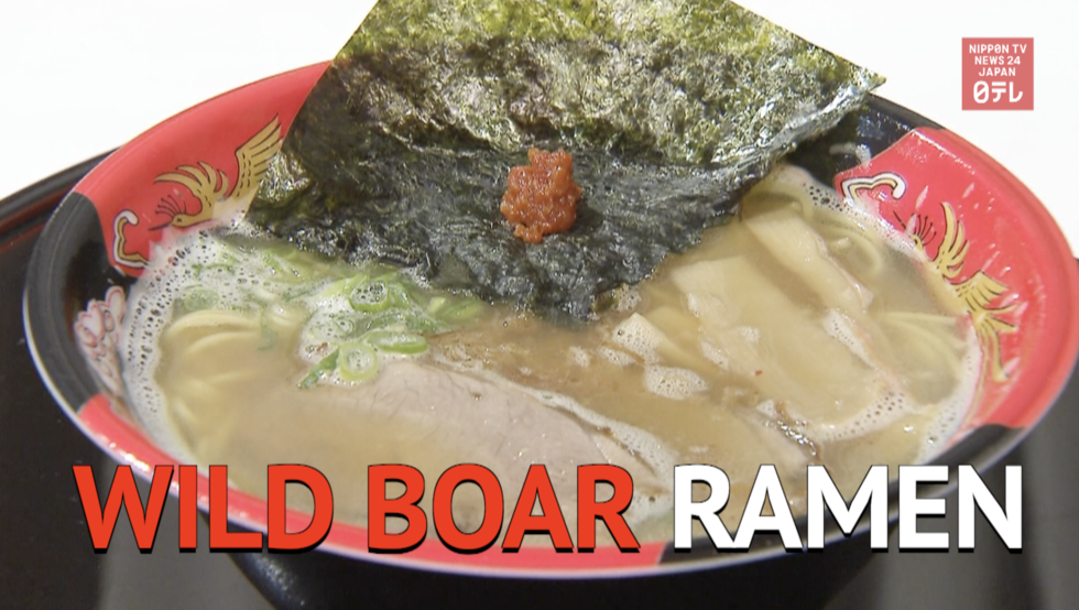 Wild boar ramen: problem solved