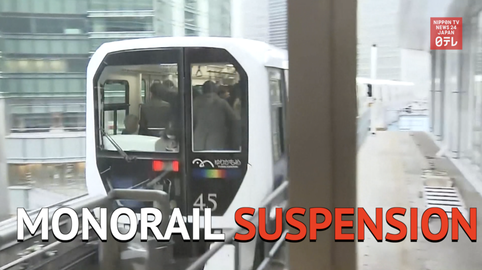 Tokyo monorail suspended due to crack