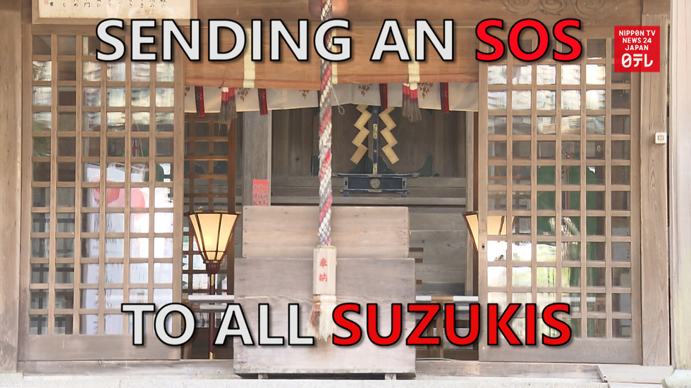 Calling all Suzukis