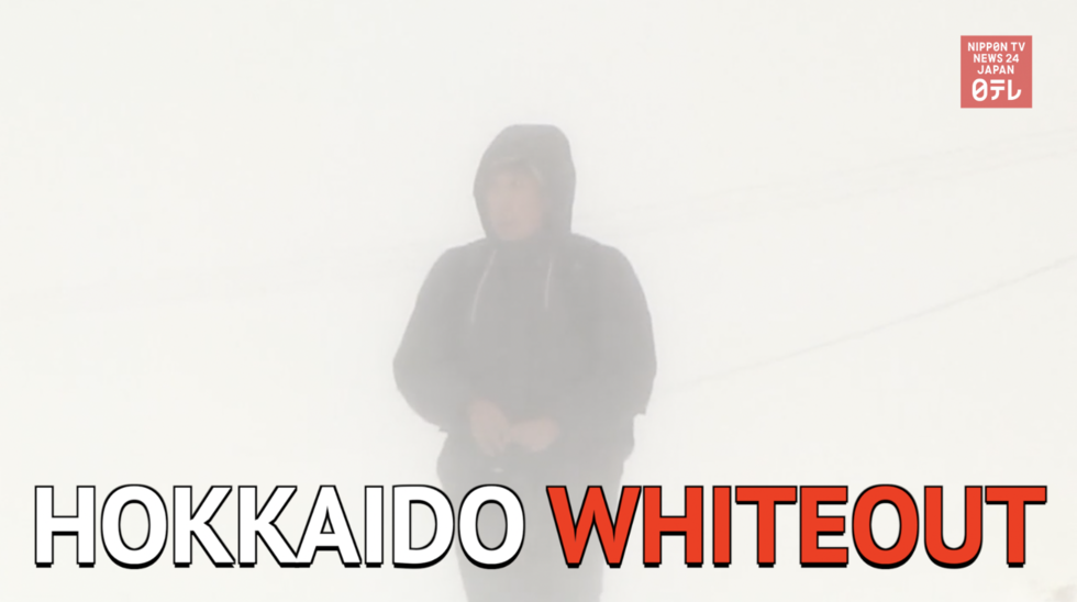 Hokkaido snowstorms disrupt public transportation