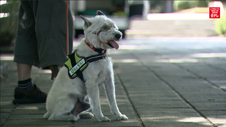 Eastern Japan heat wave continues 