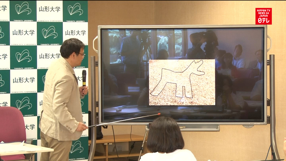 New geoglyphs discovered in Peru