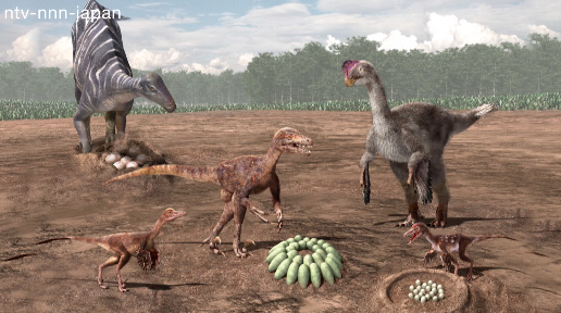 New micro dinosaur species found in Hyogo