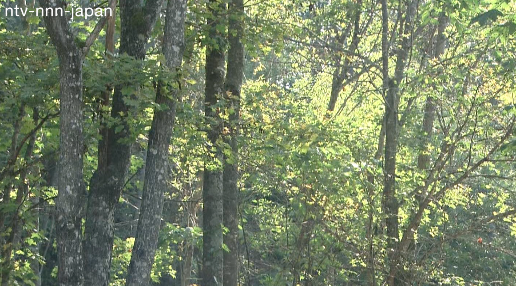 Govt proposes environment tax