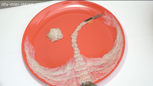 Sushi in focus at Milan World's Fair Japan pavilion 