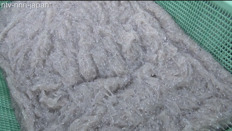 Morning fish market draws crowds