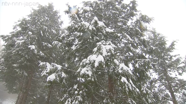 Freak snow hits Kyushu