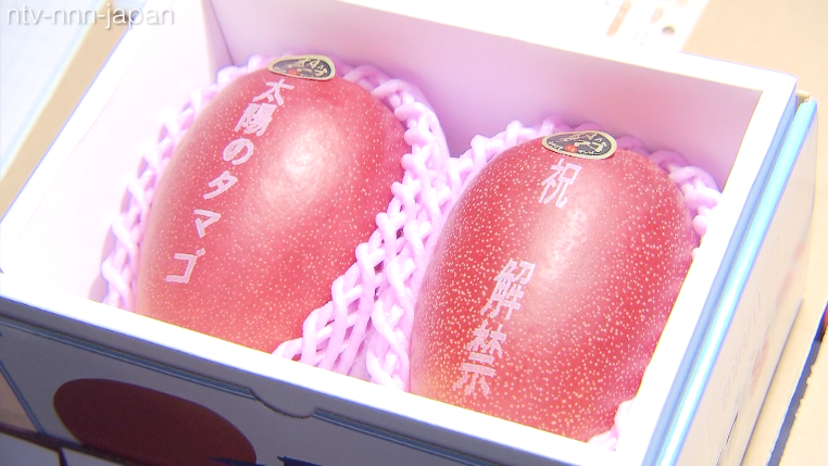 Premium mangoes fetch $3,000 a pair