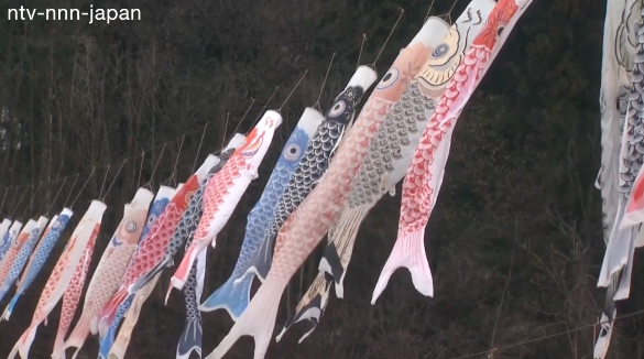 Restaurant crafts carp streamer display