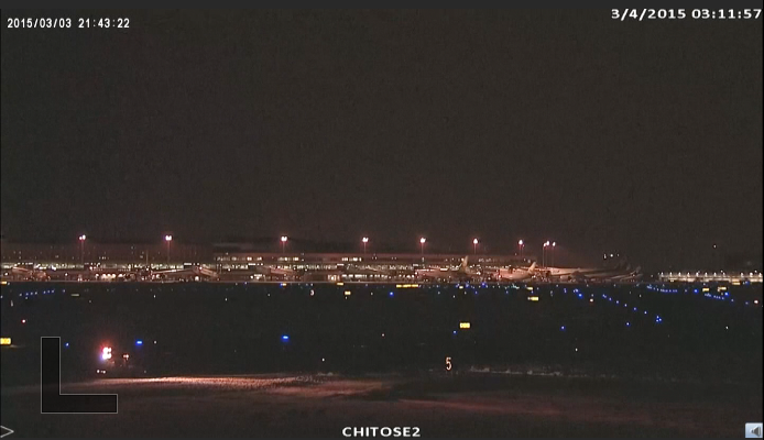 Flights delayed by deer herd