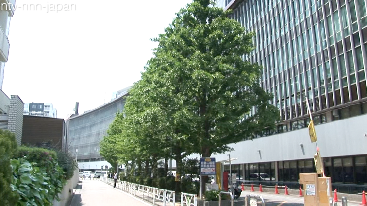 Shibuya Ward to be first to recognize same-sex couples