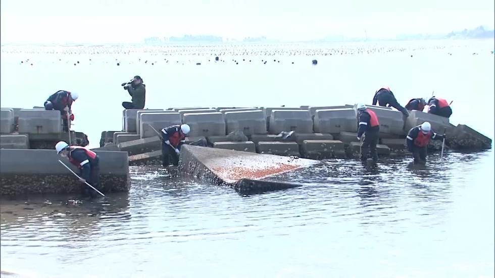 Search for 3.11 victims continues