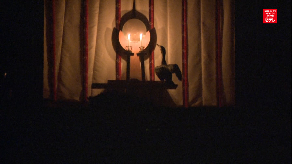 Bizarre bird rite indicates bright 2017