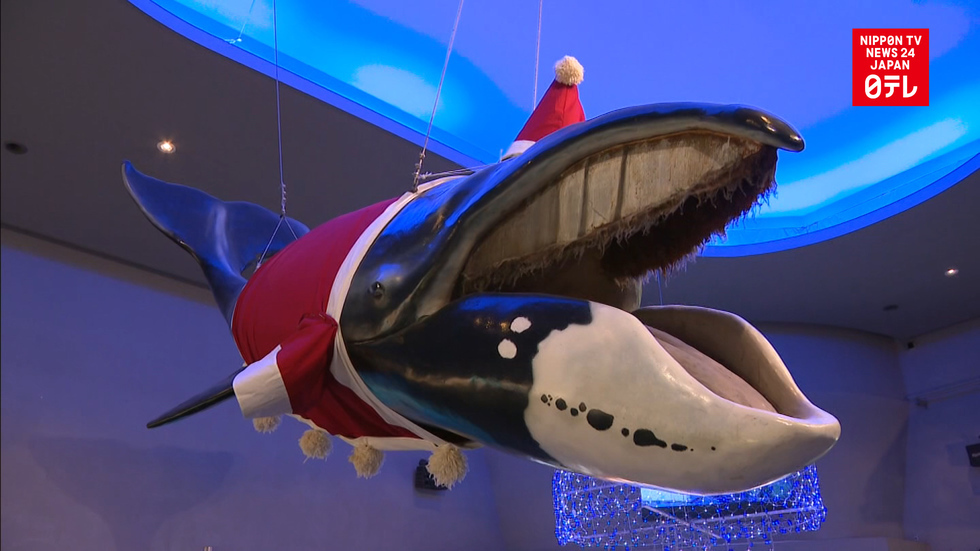 AQUARIUM'S 'SHOCKING' CHRISTMAS EVENT 