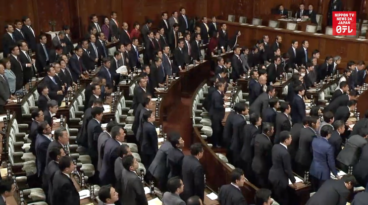 Lower house passes pension reform bill