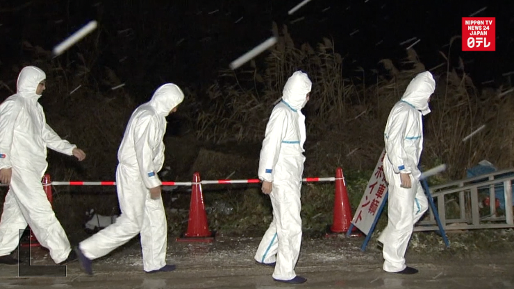 Avian flu hits two farms in northern Japan