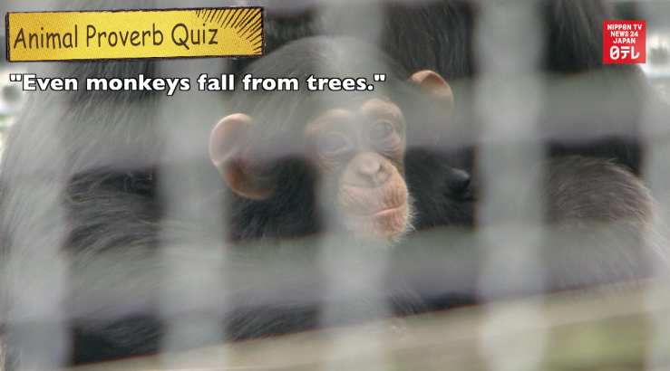 True or false? Animal proverbs get tested