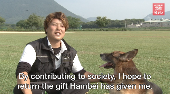 One-eyed Hambei the police dog 