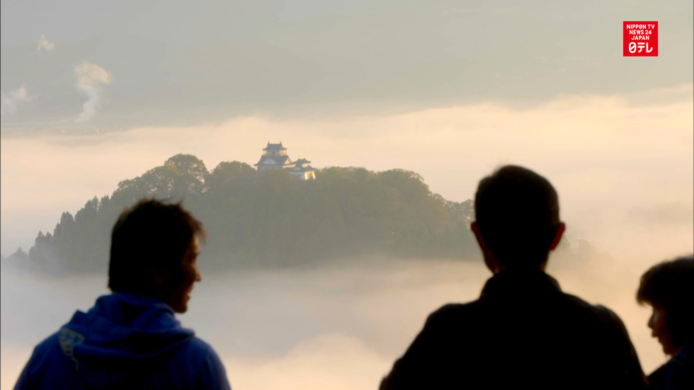 Castle in the clouds: 'tis the season