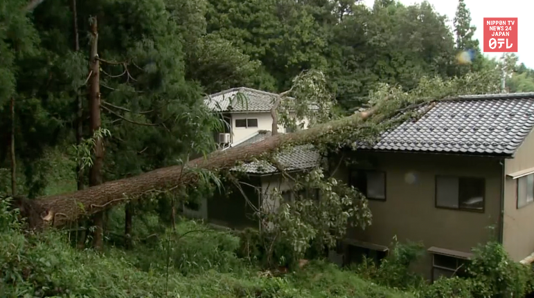  39 stranded following Typhoon Chaba