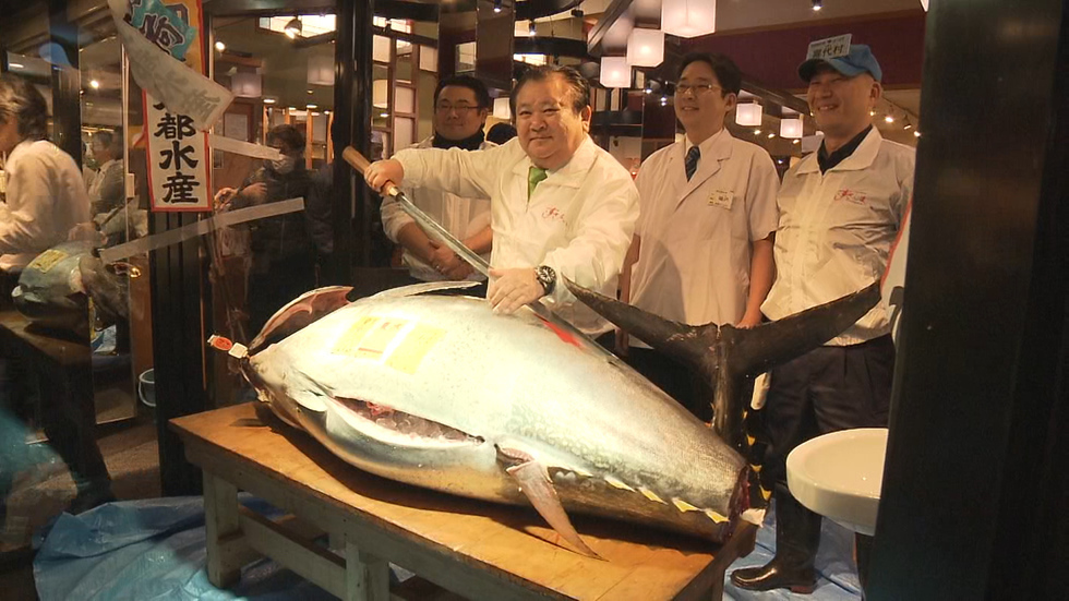 First tuna auction of the year